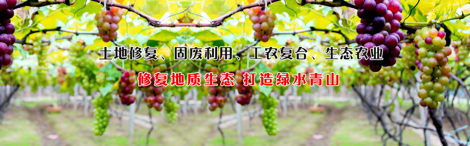 上海徽宇電子科技有限公司銷售產品理念專業(yè)踏實誠懇務實